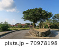 竹富島の街並み2020年3月 70978198