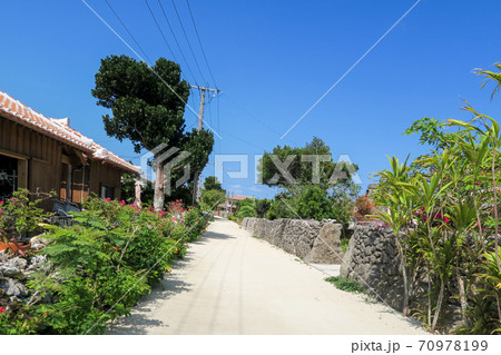 竹富島の街並み2020年3月 70978199