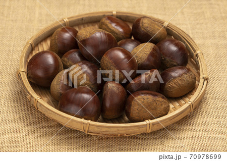 栗【秋の味覚】 70978699