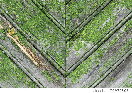 Old green wooden wall with peeling paint, texture Old green wooden wall with peeling paint, texture 70979308