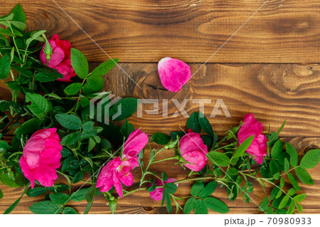 Pink flowers of dog rose on wooden background. Top view, copy space 70980933