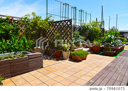 ルーフバルコニーでガーデニング&ビオトープ 青空の下でくつろぎ時間 ルーフバルコニーでガーデニング&ビオトープ 青空の下でくつろぎ時間 70981073