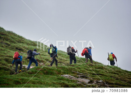 Group of hikers walking on grassy mountain path. Group of hikers walking on grassy mountain path. 70981086