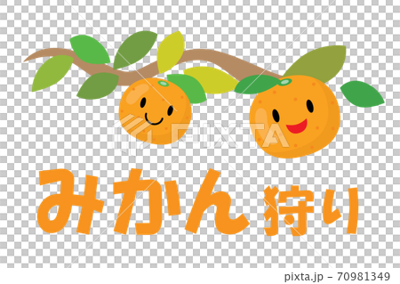 みかん狩りのデザイン文字 70981349