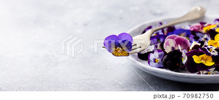 Edible flowers, field pansies, violets on white plate. Grey background. Copy space. 70982750