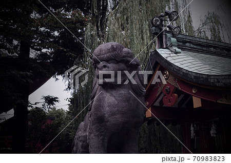 浅草神社の狛犬 浅草神社の狛犬 70983823