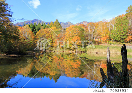 秋山郷の秋 錦秋の天池 秋山郷の秋 錦秋の天池 70983954