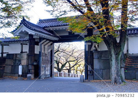 皇居　北の丸　高麗門・田安門入口　 ( 東京都千代田区 ) 70985232