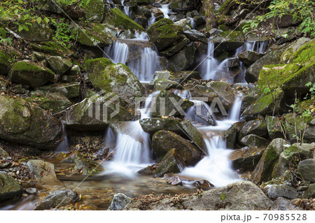 三頭大滝上流の清流　檜原都民の森10月 70985528