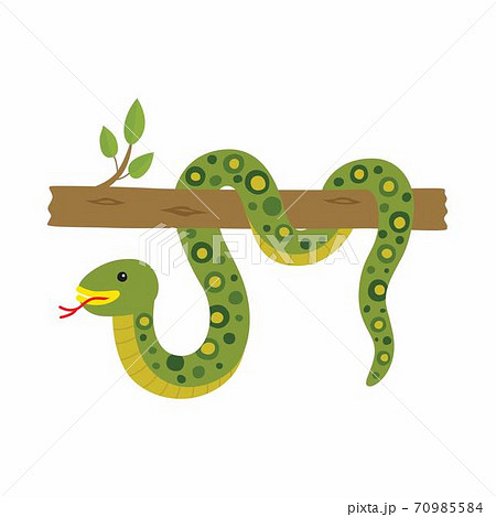 Anaconda On A Tree Vector Illustration Isolated ã®ã‚¤ãƒ©ã‚¹ãƒˆç´ æ 70985584 Pixta