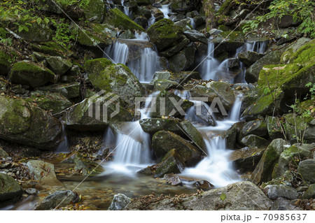 三頭大滝上流の清流　檜原都民の森10月 70985637