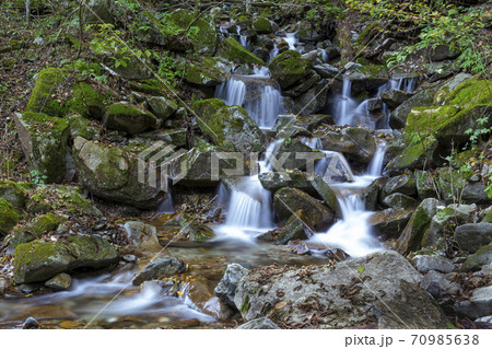 三頭大滝上流の清流　檜原都民の森10月 70985638
