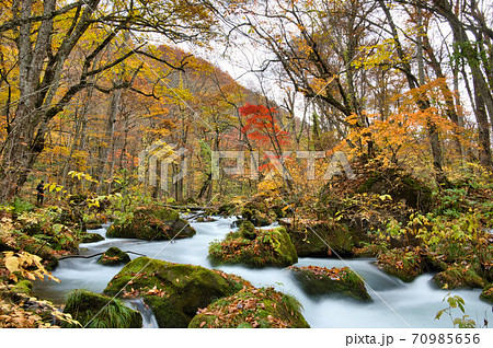 青森県にある奥入瀬渓流の紅葉風景 青森県にある奥入瀬渓流の紅葉風景 70985656
