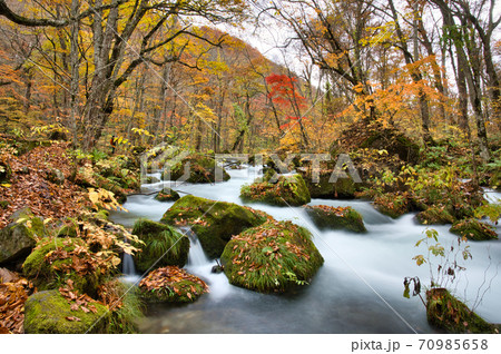 青森県にある奥入瀬渓流の紅葉風景 70985658