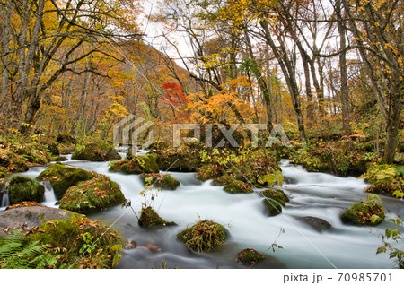 青森県の奥入瀬渓流の秋の紅葉風景 青森県の奥入瀬渓流の秋の紅葉風景 70985701