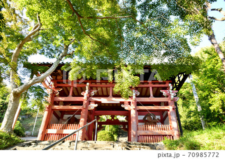 本恵寺 山門 本恵寺 山門 70985772