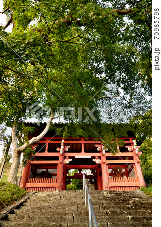 本恵寺　山門 70985798