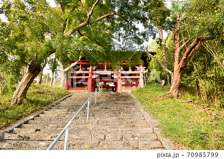 本恵寺　山門 70985799