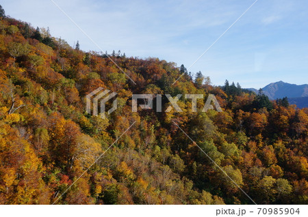 立山黒部アルペンルート　大観峰 70985904