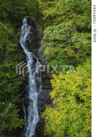 秋の三頭大滝 10月 秋の三頭大滝 10月 70985984