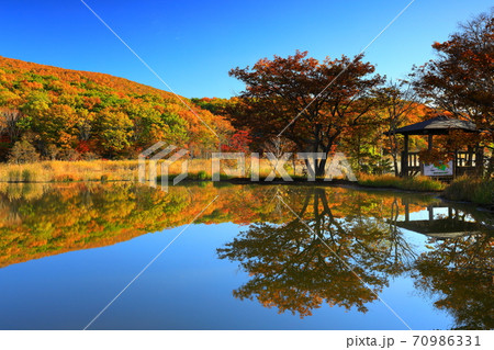 紅葉の御在所沼 70986331