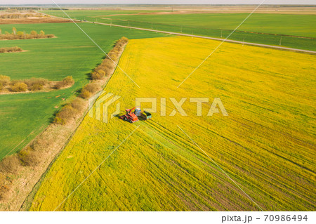Aerial View Of Rural Landscape. Combine Harvester And Tractor Working Together In Field. Harvesting Of Oilseed In Spring Season. Agricultural Machines Collecting Blooming Rapeseeds Canola Colza Aerial View Of Rural Landscape. Combine Harvester And Tractor Working Together In Field. Harvesting Of Oilseed In Spring Season. Agricultural Machines Collecting Blooming Rapeseeds Canola Colza 70986494