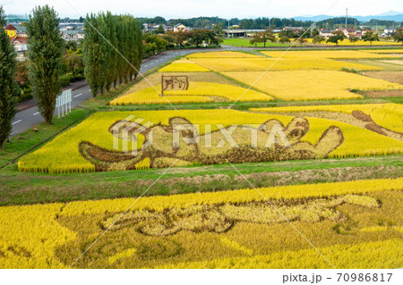 田んぼアート　うさぎとかめ 70986817