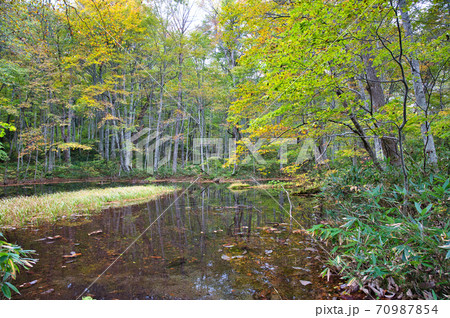 青森県八甲田にある蔦七沼の鏡沼の秋の風景 青森県八甲田にある蔦七沼の鏡沼の秋の風景 70987854