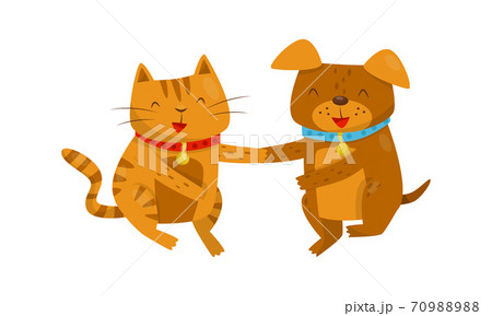 Funny Dog and Cat with Collar Shaking Paws Vector Illustration. Funny Dog and Cat with Collar Shaking Paws Vector Illustration. 70988988