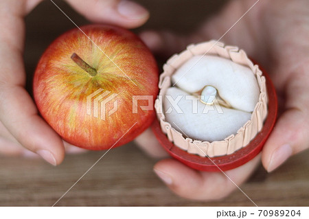 革リンゴ 革リンゴ 70989204