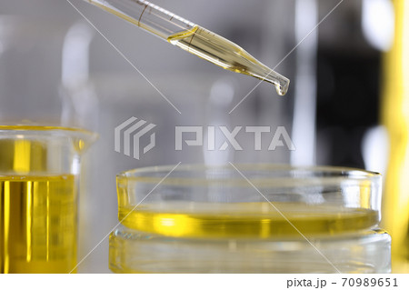 Drop of oil drips from dispenser into petri dish in chemical laboratory closeup 70989651