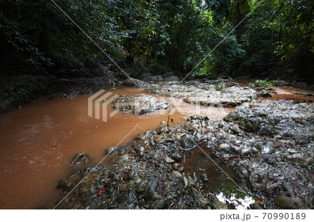 Tropical landscape with small muddy river 70990189