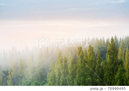 Beautiful winter landscape in the mountains. Sunrise. 70990495