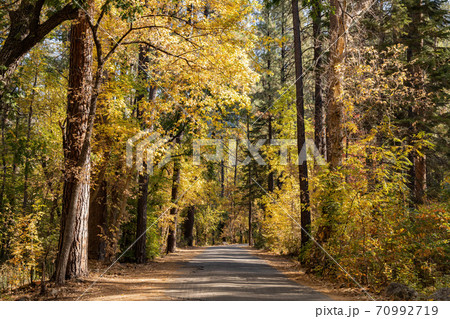 Beautiful fall color around Cave Springs Campground 70992719