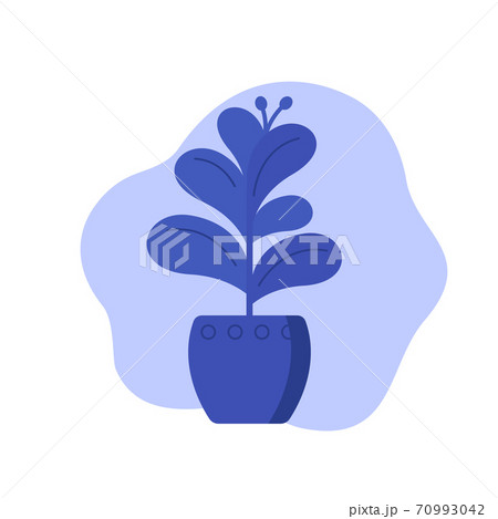 plant in pot, trendy vector design plant in pot, trendy vector design 70993042