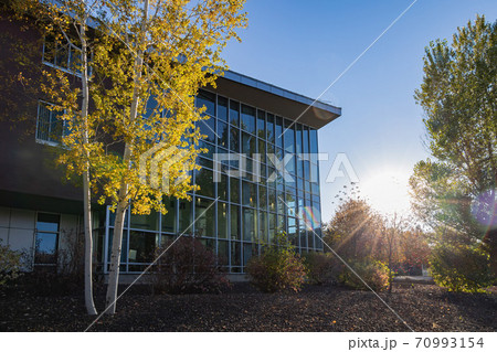 Beautiful fall color around the campus of Northern Arizona University 70993154
