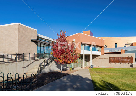 Beautiful fall color around the campus of Northern Arizona University 70993176