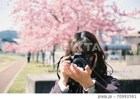 桜を撮る彼女の写真素材