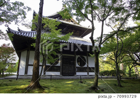 岡山県総社市の井山宝福寺の仏殿を、木が生茂る場所から観賞する 岡山県総社市の井山宝福寺の仏殿を、木が生茂る場所から観賞する 70993729