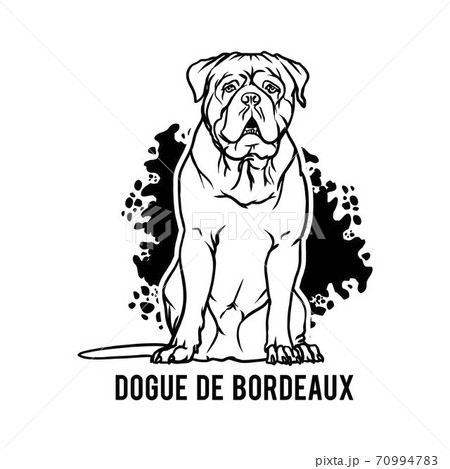 can dogue de bordeaux be black