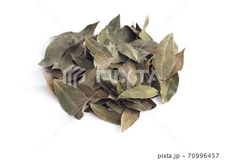 ハーブ 月桂樹の葉 ローレル ローリエの写真素材