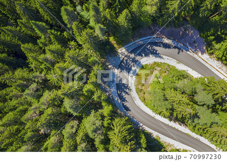 curving forest road  70997230