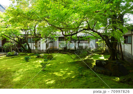 仁和寺 黒書院と庭園 仁和寺 黒書院と庭園 70997826