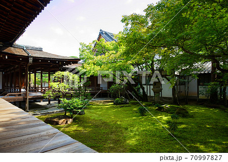 仁和寺 黒書院と庭園 仁和寺 黒書院と庭園 70997827