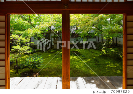 仁和寺　黒書院と庭園 70997829