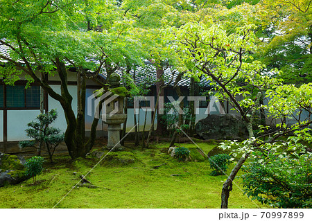 仁和寺 黒書院と庭園 仁和寺 黒書院と庭園 70997899
