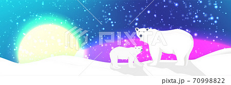 Polar bears and northen lights landscape vector 70998822