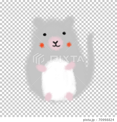灰鼠 70998824
