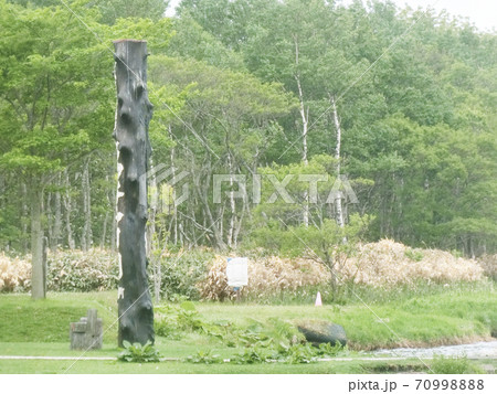 クッチャロ湖（北海道枝幸群浜頓別町） 70998888