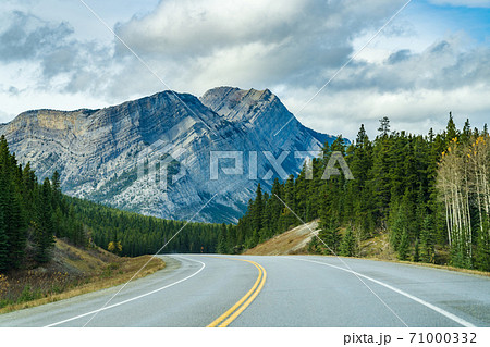 Rural road in the forest with Mount Stelfox in the background. Alberta Highway 11 (David Thompson Hwy), Jasper National Park, Canada. 71000332